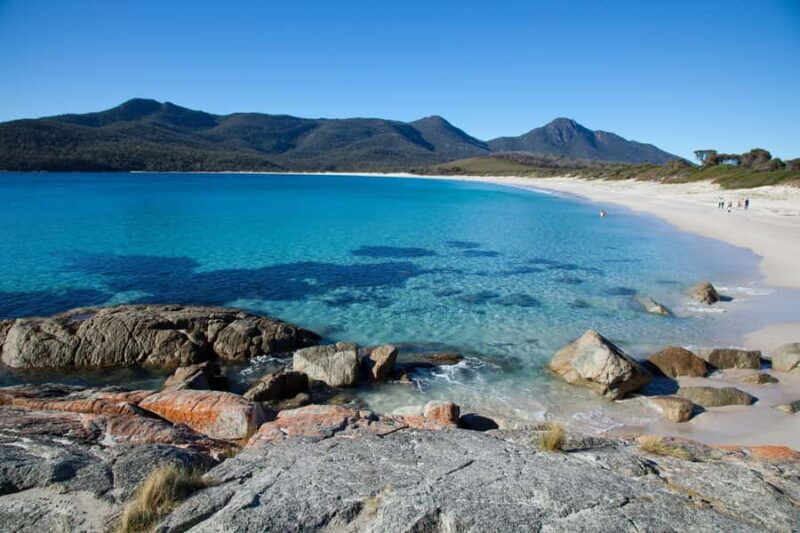 Tasmania: Wilderness and Wildlife Guided 6-Day Tour - Key Points