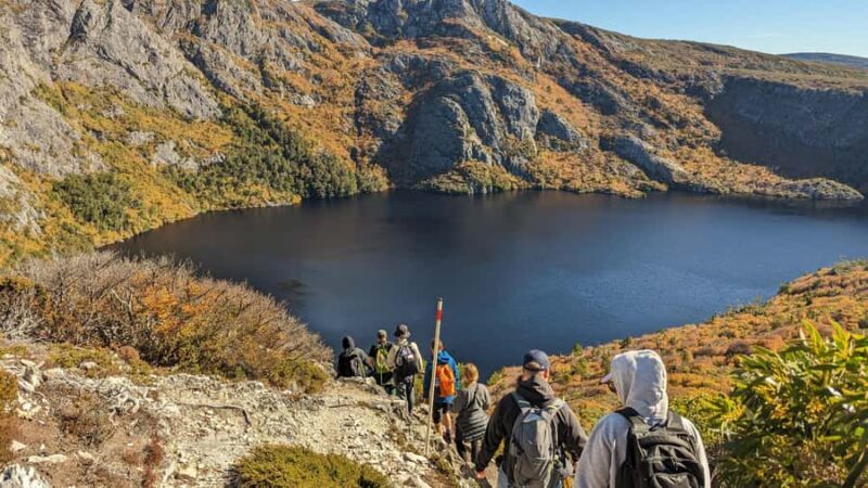 Tasmania: Wilderness and Wildlife Guided 6-Day Tour - An In-Depth Look at the Itinerary