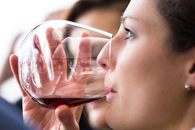 Tasmanian Premium Wine Tour with Tasmanian Cheese Platter - Key Points