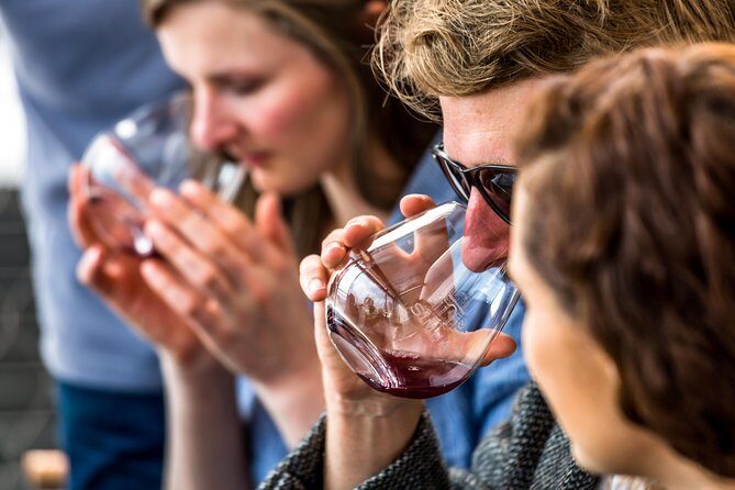 Tasmanian Premium Wine Tour with Tasmanian Cheese Platter - The Good and the Not-So-Good