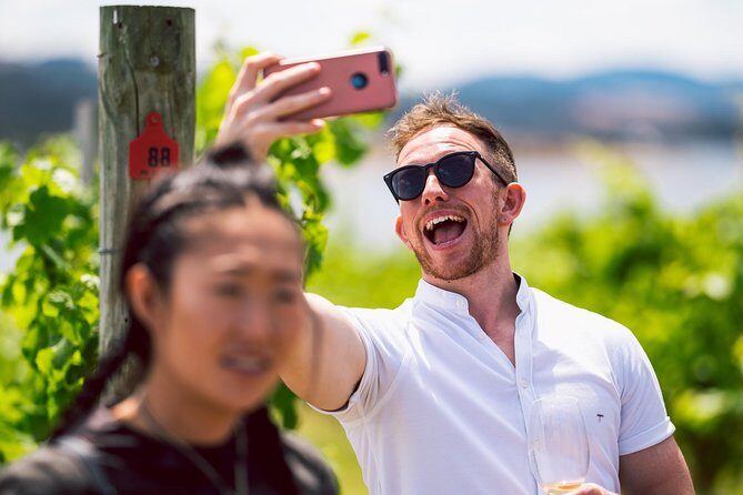 Tasmanian Premium Wine Tour with Tasmanian Cheese Platter - Is This Tour Worth It?