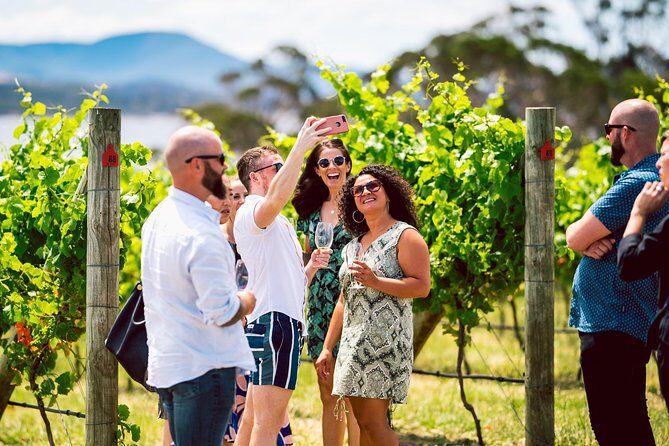 Tasmanian Premium Wine Tour with Tasmanian Cheese Platter - Who Should Consider This Tour?
