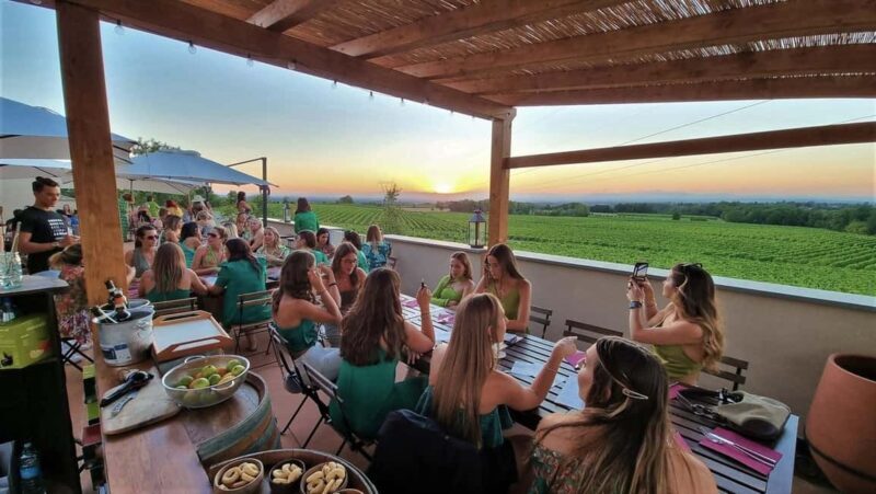 Tassarolo: Guided Cellar Tour and Wine Tasting - What to Expect from the Tour