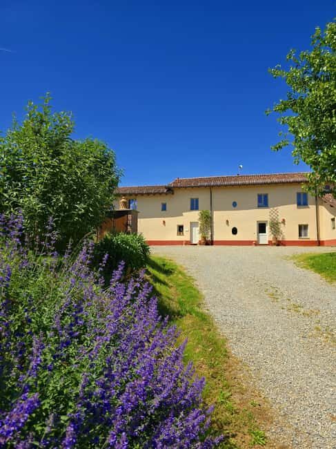 Tassarolo: Guided Cellar Tour and Wine Tasting - The Tasting: A Focus on Quality and Authenticity