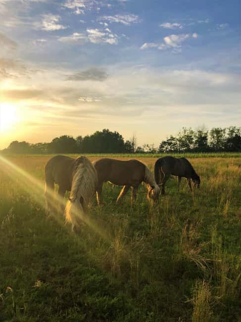Tassarolo: Guided Cellar Tour and Wine Tasting - Final Thoughts