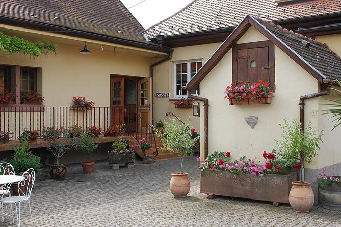 Taste Alsace: Tasting of our Alsace wines - No cellar tour - FAQ