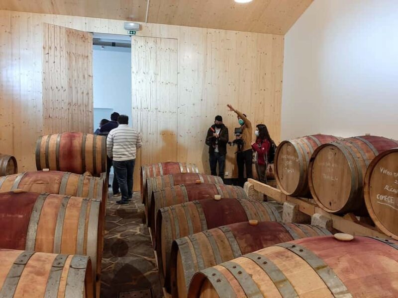 Taste amazing wines in Alentejo! - An Honest Look at the Alentejo Wine Tour