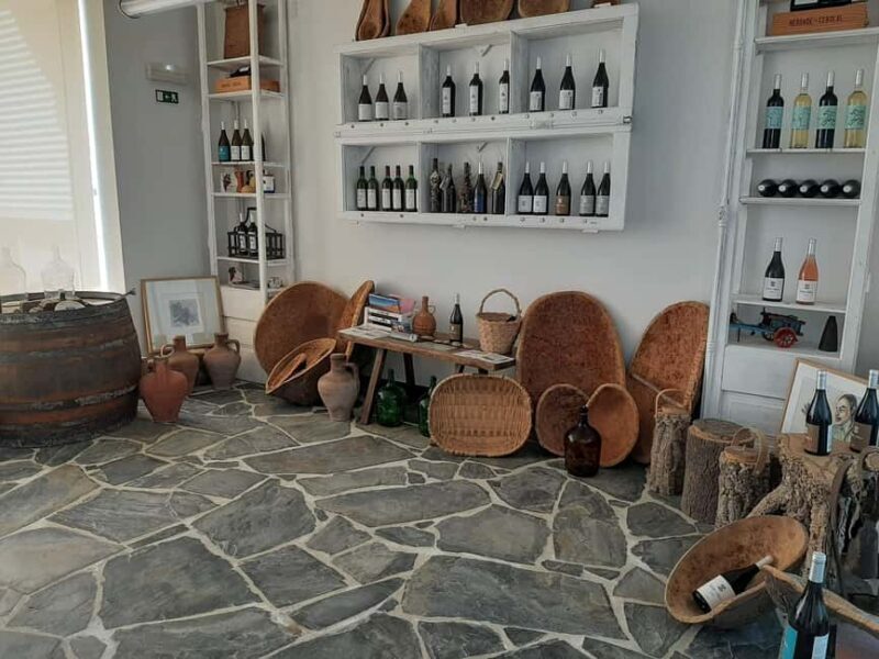 Taste amazing wines in Alentejo! - Why You Should Consider This Tour