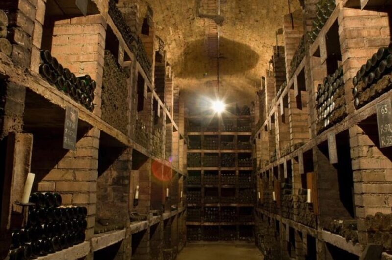 Taste and Tour Small Organic Wineries with a Winemaker - The Value for Money