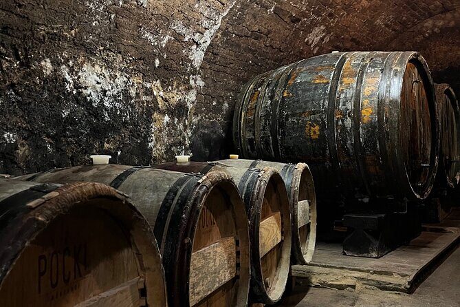 Taste and Tour Small Organic Wineries with a Winemaker - Final Thoughts