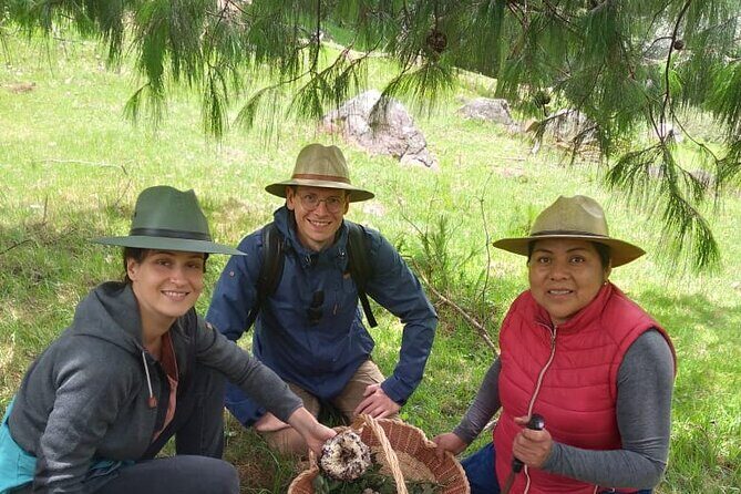 Taste and Tradition Acaxochitlán Culinary Tour from Mexico City - What We Like About the Tour