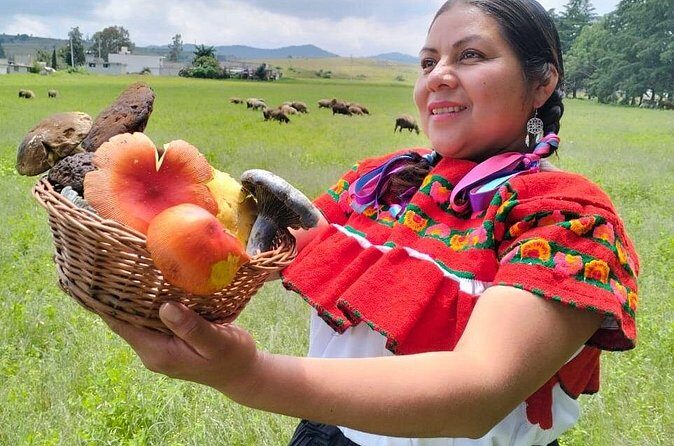 Taste and Tradition Acaxochitlán Culinary Tour from Mexico City - The Value of a Private, Guided Experience
