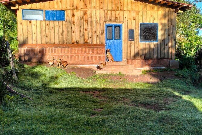 Taste and Tradition Acaxochitlán Culinary Tour from Mexico City - Final Thoughts: Who Is This Tour Best For?