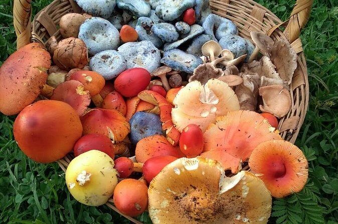 Taste and Tradition Acaxochitlán Culinary Tour from Mexico City - FAQ