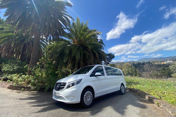 Taste Gran Canaria's unique wines - Key Points