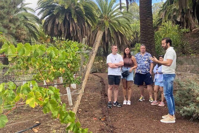 Taste Gran Canaria's unique wines - Practical Considerations