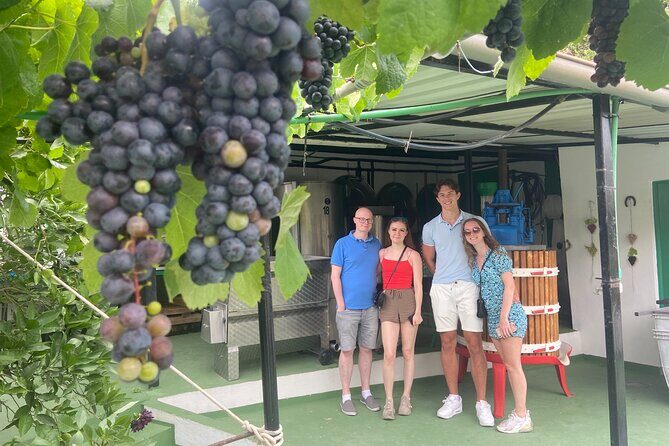 Taste Gran Canaria's unique wines - Final Thoughts