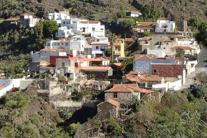Taste Journey in an Ancient Canarian Village - What’s the Downside?
