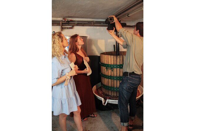 Taste Local Wines and Discover Pezinok - Who Should Consider This Tour?