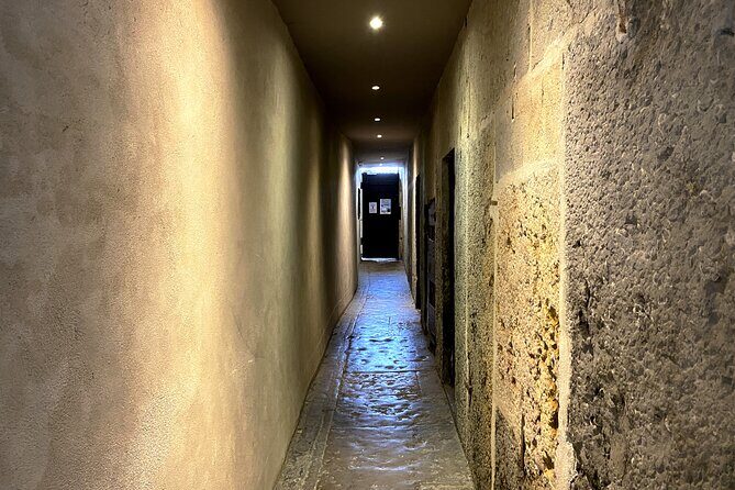 Taste Lyons Local Wines & Explore Hidden Traboules - The Sum Up: Is This Tour Right for You?