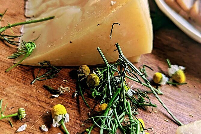 Taste of Europe in Mexico: History and Flavors of Artisan Cheese - Who Will Love This Tour?