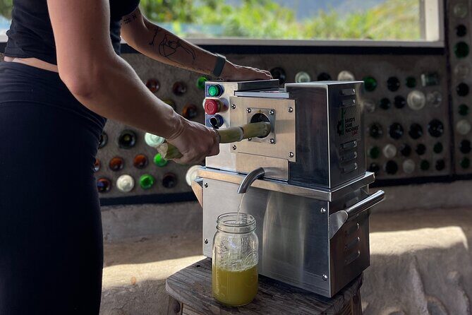 Taste of Hawaii: A Maui Farm Tour - What We Love About This Maui Farm Tour