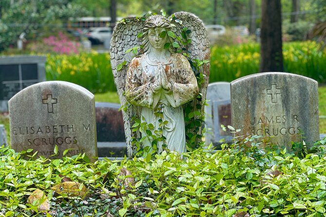 Taste of Historic Plantations 1/2 Day Tour - What the Tour Feels Like in Practice