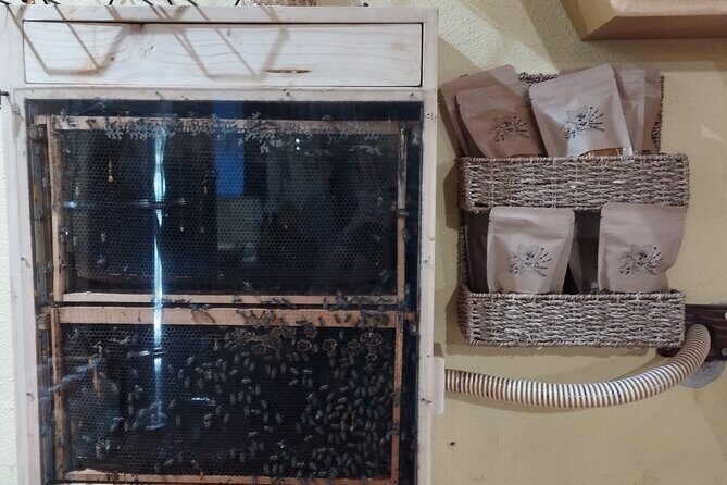 Taste of Korcula Tour (local produce tasting) - Key Points