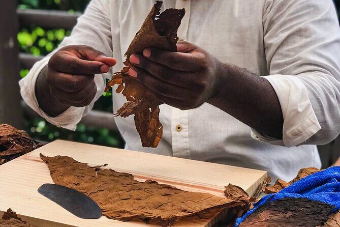 Taste of Mexico: Rolling Cigar & Tequila Experience with transfer - Final Thoughts