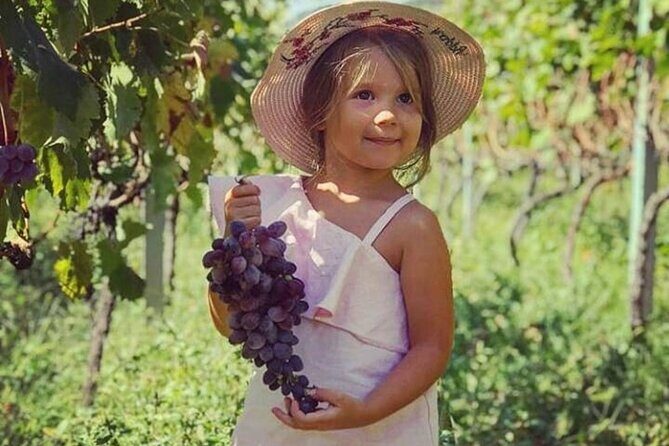 TASTE OF MONTENEGRO - Gastro Tour of Montenegrian Wine and food - The Practicalities: Price, Duration, and Booking