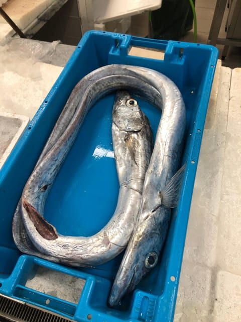 Taste of Setubal: Market Visit and Wine Tastings - Exploring the Setúbal Region in Depth