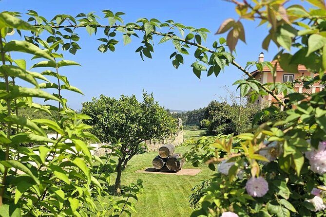 Taste of Sintras Wonders  Wine & Tapas Tasting Private Tour - FAQs