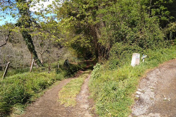 Taste of the Camino de Santiago - FAQ