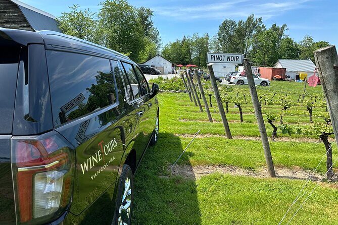 Taste of the Valley Private Wine Tour - What Makes the Taste of the Valley Private Wine Tour Special