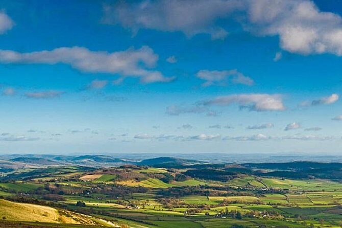 Taste the Atherton Tablelands Food & Wine Tour from Port Douglas - Gallo DairyLand