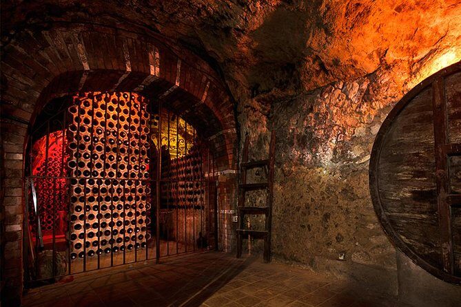 TASTE THE TREASURES from RIBERA DEL DUERO in a SUBTERRANEAN wine Cellar - What’s Included and What to Consider