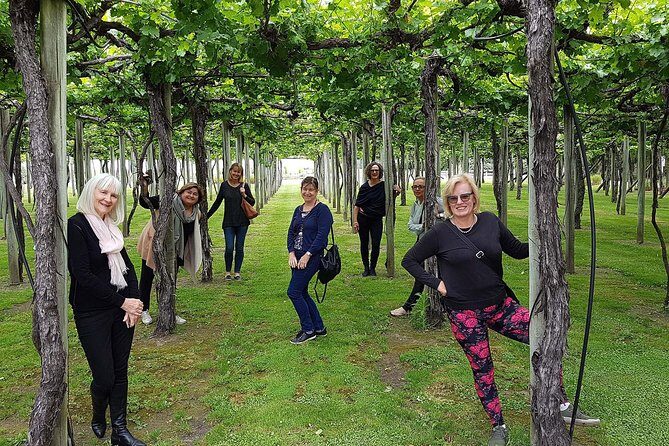 Taste the Valley Wine Tour in Marlborough with Wine Tasting - Who Is This Tour Best Suited For?