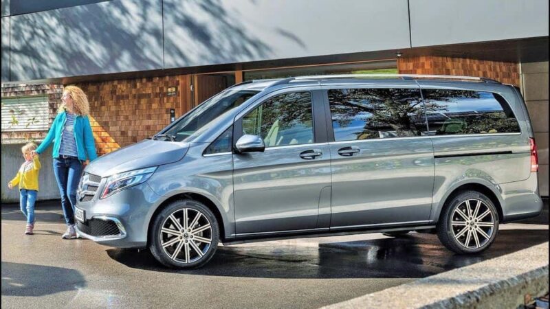 Taste Tuscany: Truffle Hunt, Cooking Class, Wine & Olive Oil - What Travelers Say