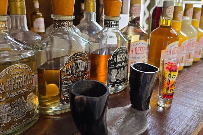 Tastes of Mexico Traditional Food Culture and Beach in Cozumel - The Sum Up