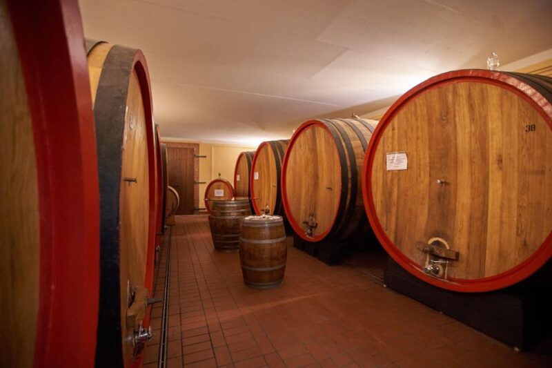 Tasting and Tour Vino Nobile di Montepulciano - The Tasting Experience