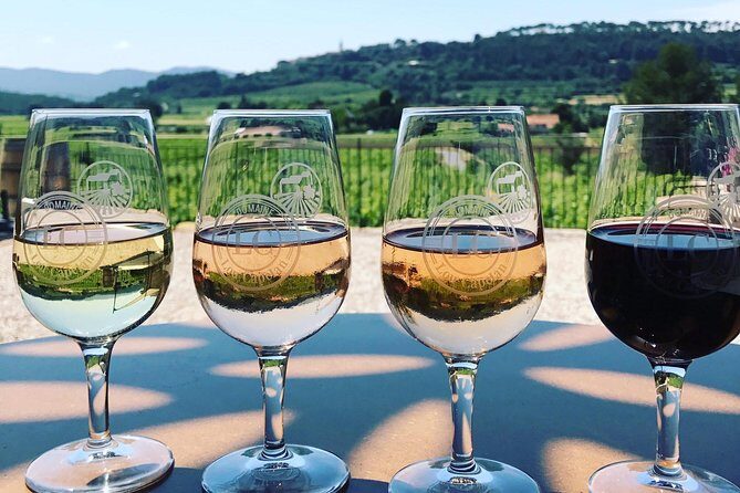 Tasting Bandol Wines & Visit of Cellar (in English) - The Value and Price Point