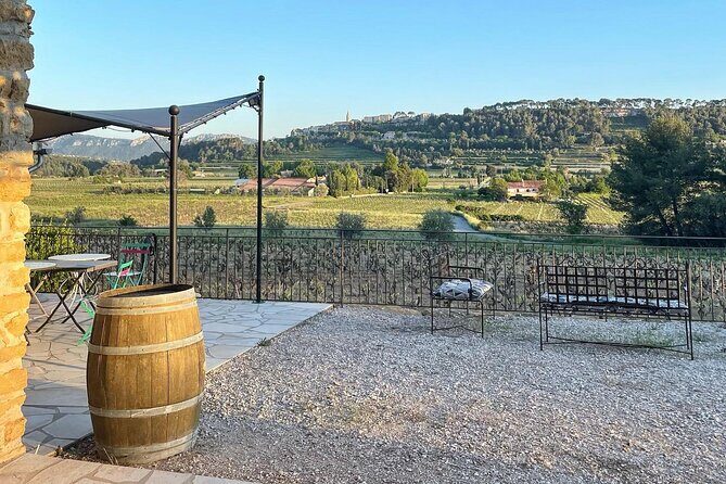 Tasting Bandol Wines & Visit of Cellar (in English) - The Practicalities: Booking, Duration, and Accessibility