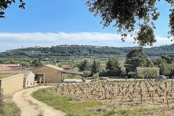Tasting Bandol Wines & Visit of Cellar (in English) - Who Will Love This Tour?