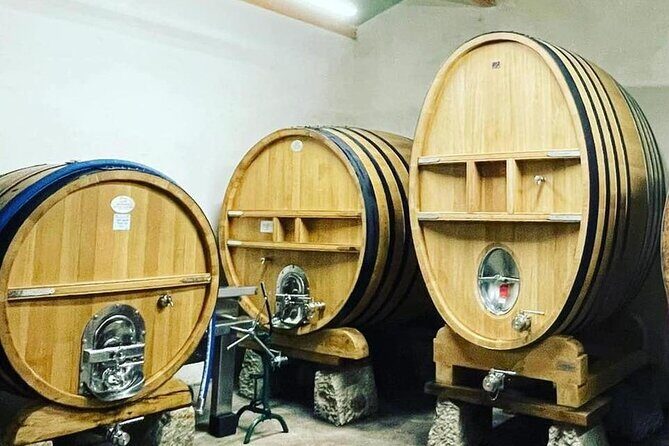 Tasting Bandol Wines & Visit of Cellar (in English) - The Sum Up