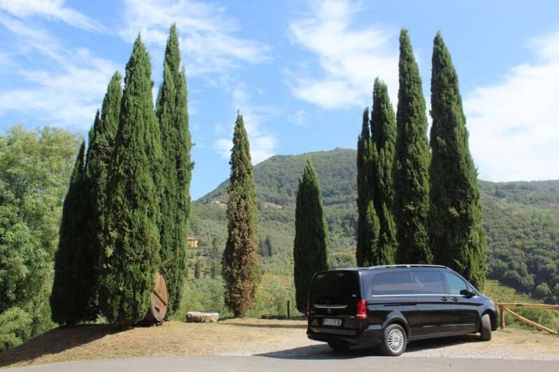 Tasting in a Tuscan Vineyard with transfer from Lucca - Key Points
