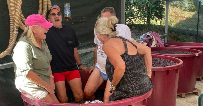 Tasting in a Tuscan Vineyard with transfer from Lucca - Final Thoughts