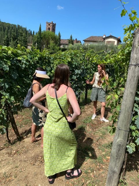 Tasting in a Tuscan Vineyard with transfer from Pisa - Who Is This Tour Best For?
