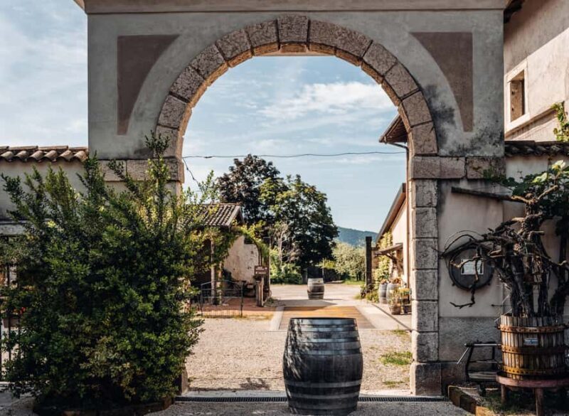 Tasting in the cellar, Caprino Veronese, Pesina - What to Expect from the Tasting Experience