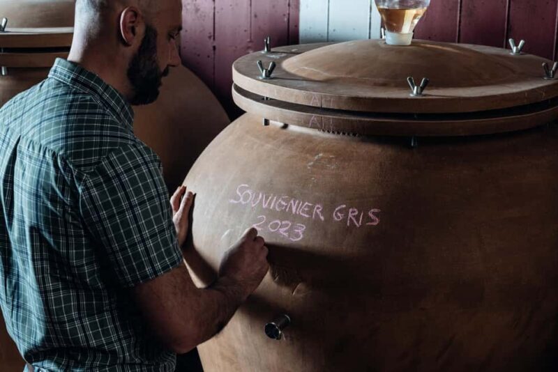 Tasting in the cellar, Caprino Veronese, Pesina - Who Is This Tour Best For?