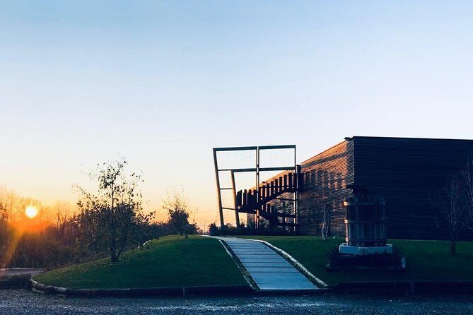 Tasting in the cellar - The Cellar and the Winemaking Process